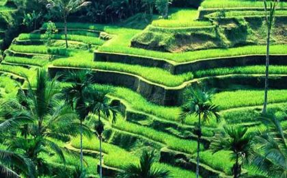 bali holiday package from nepal - shopin holidays
