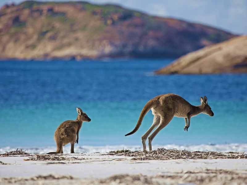 shopin-holidays-australia-holiday-package